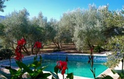 El Molino de Benizalte - piscine