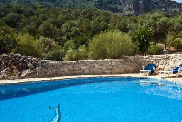 El Cortijo: piscine