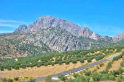 La Camara - paysage