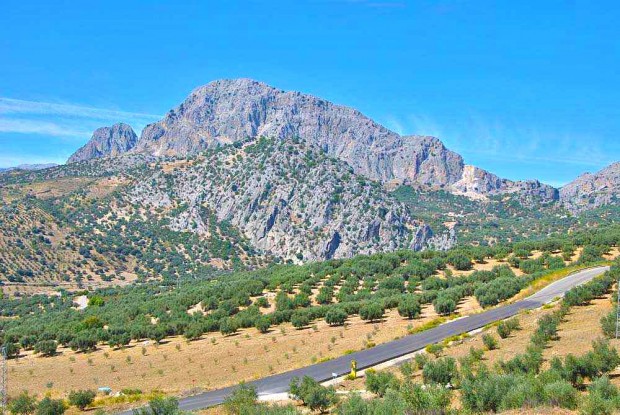 La Camara - paysage