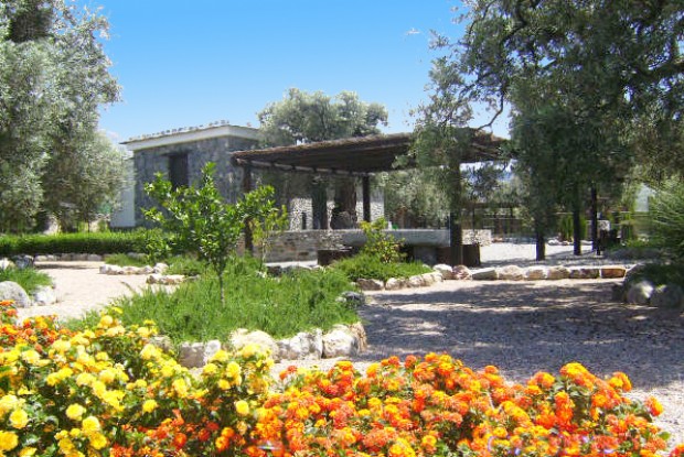 Nuestra Finca - jardin