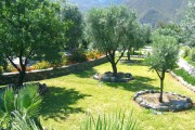 Nuestra Finca - jardin