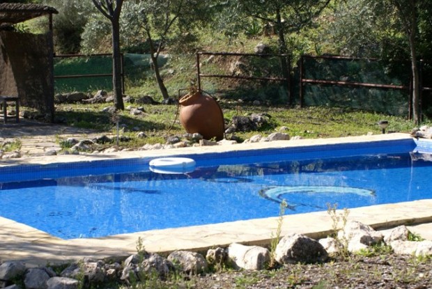 El Rancho: piscine