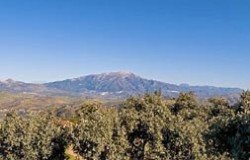 Casa El Romo - paysage