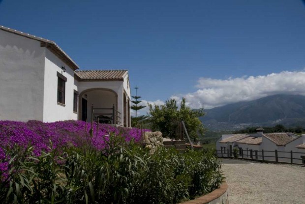 Cortijos La Viñuela - maisons